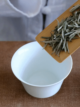 好茶具泡好茶 | 以器烹茶,君子