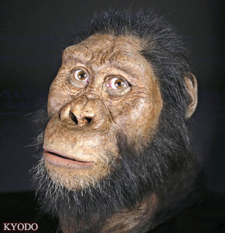 日媒：非洲发现380万年前猿人头骨化石并复原出面容
