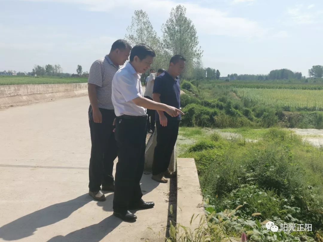 汝南埠人口_河南正阳汝南埠镇地图