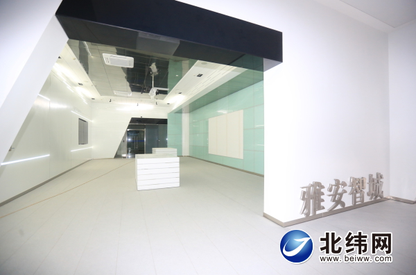 雅安数字经济总量_雅安地图(2)