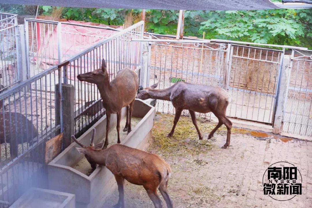 下一站,南阳人民公园_动物园