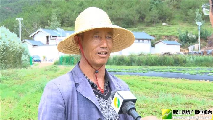 恪守村规民约37年兰坪这个互助互爱的小山村正阔步前行在脱贫致富路上