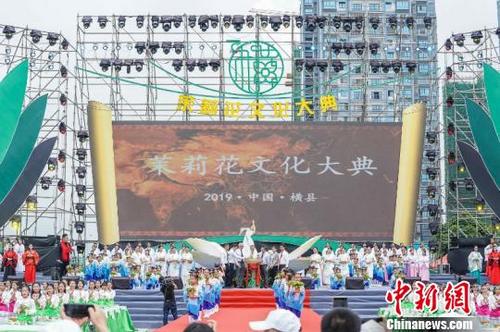 以花为“桥”首届世界茉莉花大会为东西方文化交流搭建平台