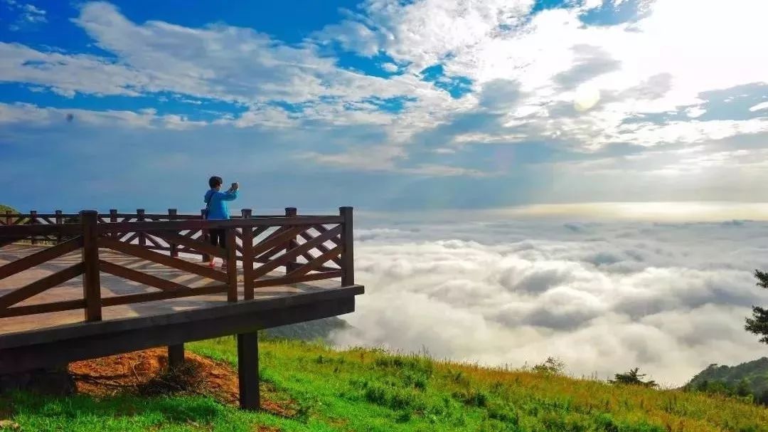 7月21日,百里荒高山草原旅游区