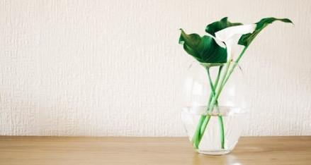 2020届高考志愿填报“一对一”个性化指导开始接受报名!(最新发布)