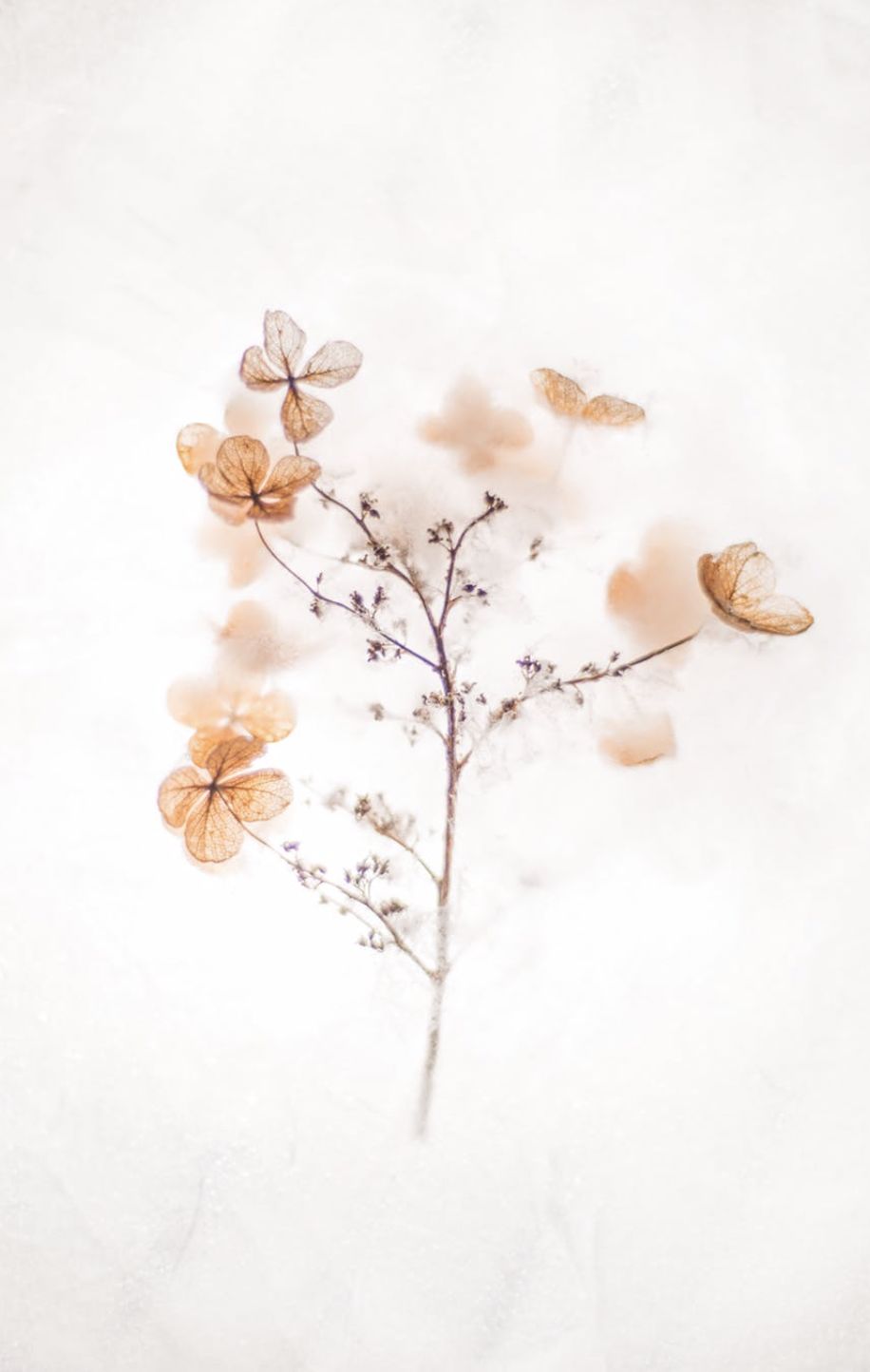 七言丨大家都是有骨气的人,互相讨厌也没关系