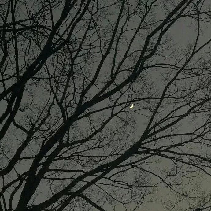 背景图 | 你别出现在我醉酒的夜里 我怕我怕狼狈地把你挽回