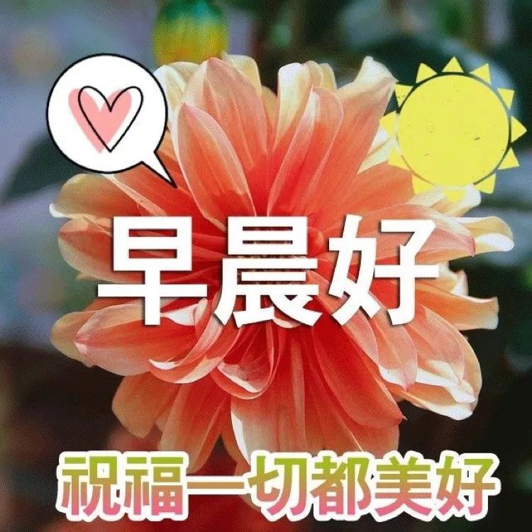 最美早上好问候祝福表情图片清晨给朋友的早安祝福语