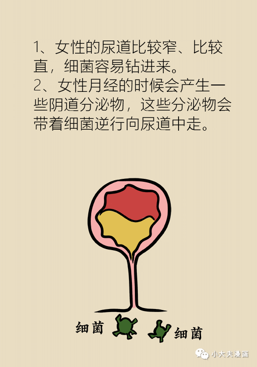 21ed5a1533504a099d320a983f143ed3.png