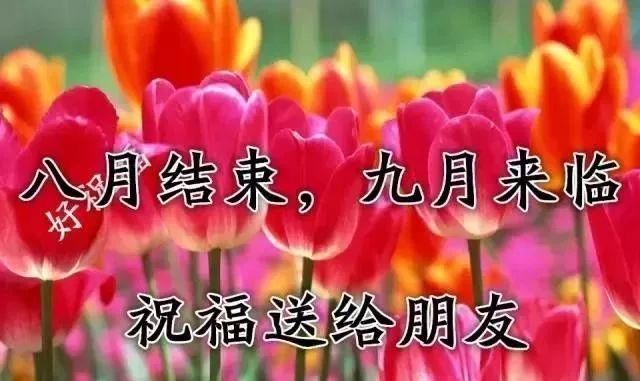 最美好的祝福送给你图片 27562f0996304a2d9d753eeccee8394a.jpeg