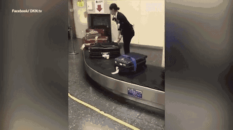 28a2cbea297a4d109dd8204155c0ff10.gif