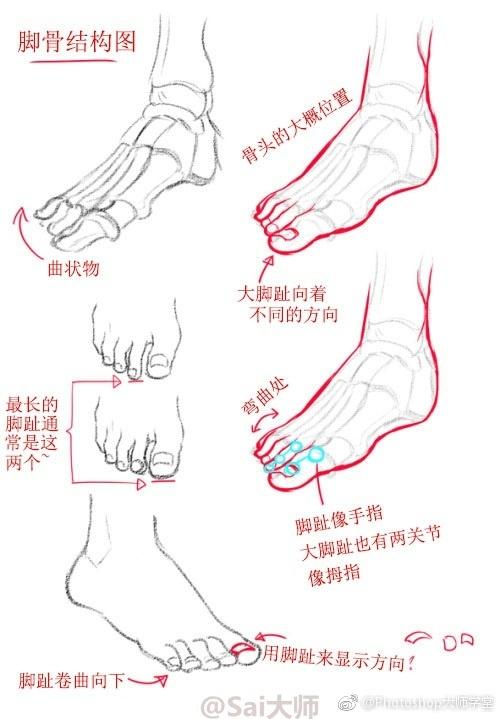 动漫人物的脚怎么画?脚的各个角度的不同画法教程!