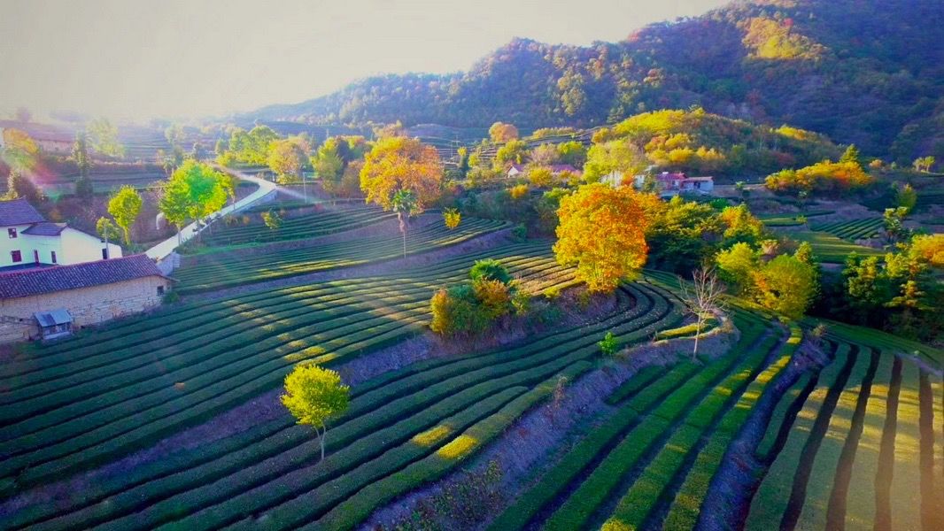 荆楚「乡村美景」!快来为你的家乡投票吧
