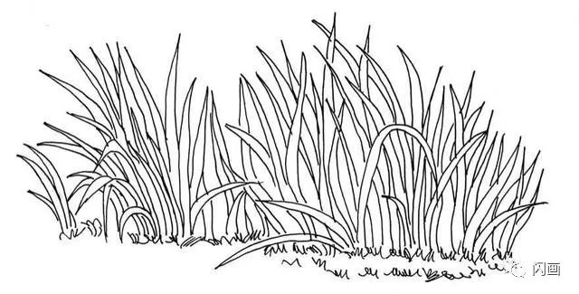 04.继续绘制右侧的草丛,注意草之间的前后穿插关系.