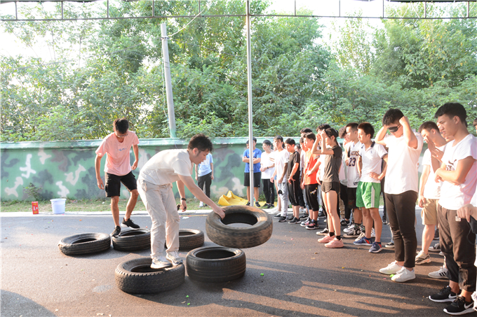 进行了|卓京教育团建丨同心同力 携手并进