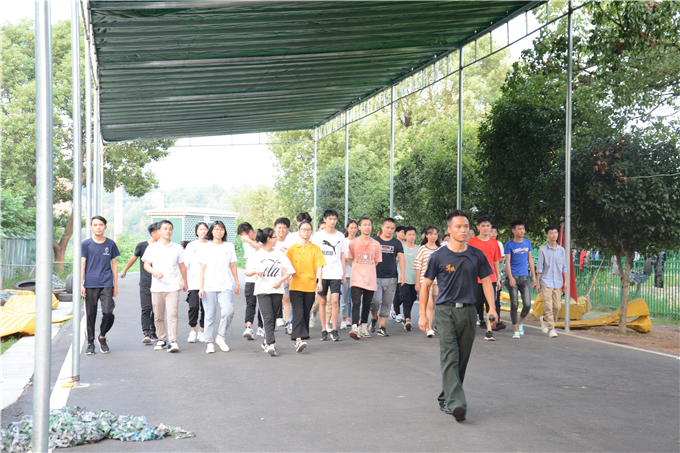 进行了|卓京教育团建丨同心同力 携手并进