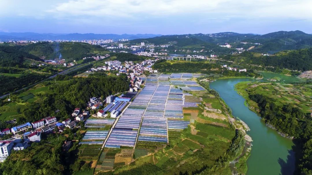 安康市汉滨区人口_陕西安康市汉滨区图片