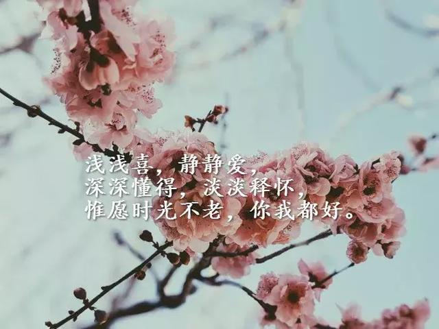 3e7a556a80474b6dbb66225a12cdbcfe.jpeg