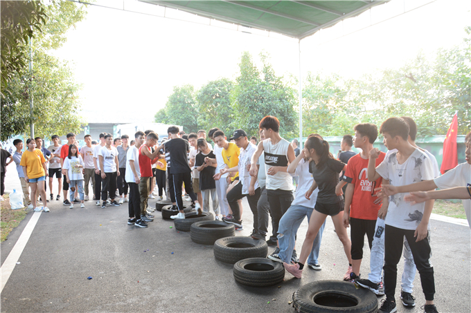 进行了|卓京教育团建丨同心同力 携手并进