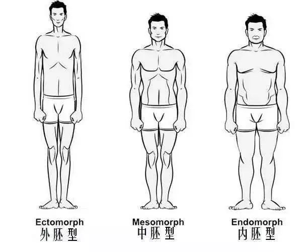 如何正确的测量身体的围度 4326c8558ddc4a0b85956fcd118be85a.jpeg