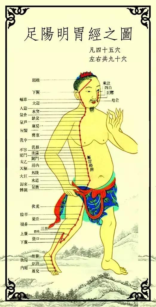 足阳明胃经不通的常见症状: 喉咙痛胃痛怕热消化不良;倦怠膝关节