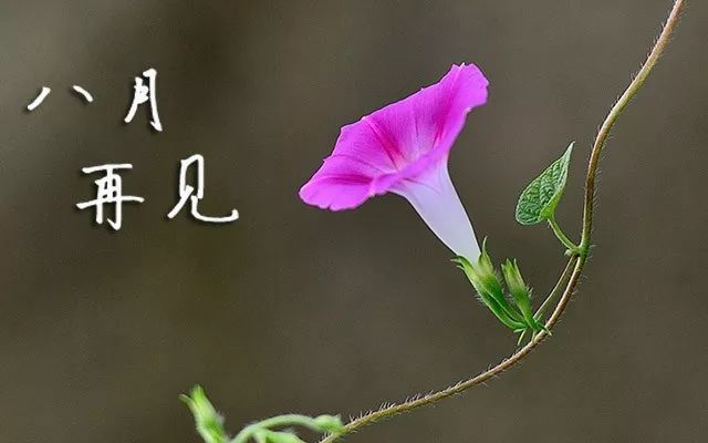 你好九月说说2019最新版经典 再见八月你好九月朋友圈说说