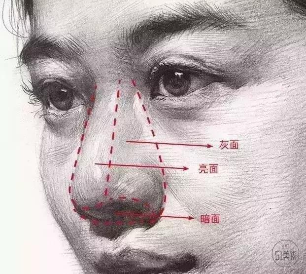 画素描头像时结构造型与透视是否准确竟占画面总分的80