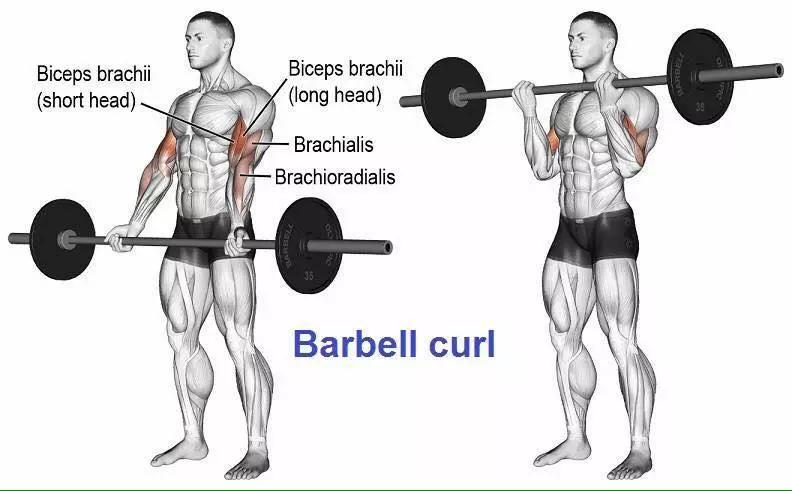 5f7ed39f3be145b1a8a14b684e39ce56.JPG