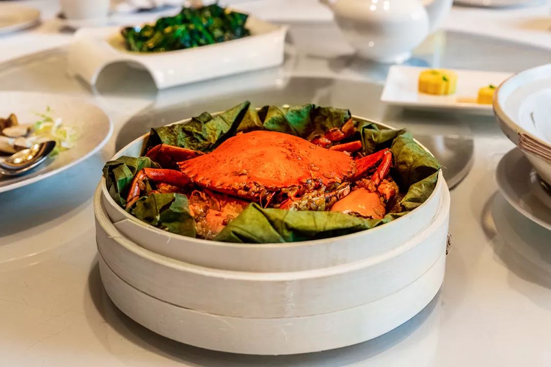 1个月现场踩点 1个月研发菜品 从潮汕菜到温州菜 这一次是福建菜!