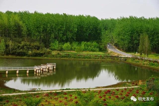 明光小伙伴江淮分水岭国家风景道来了