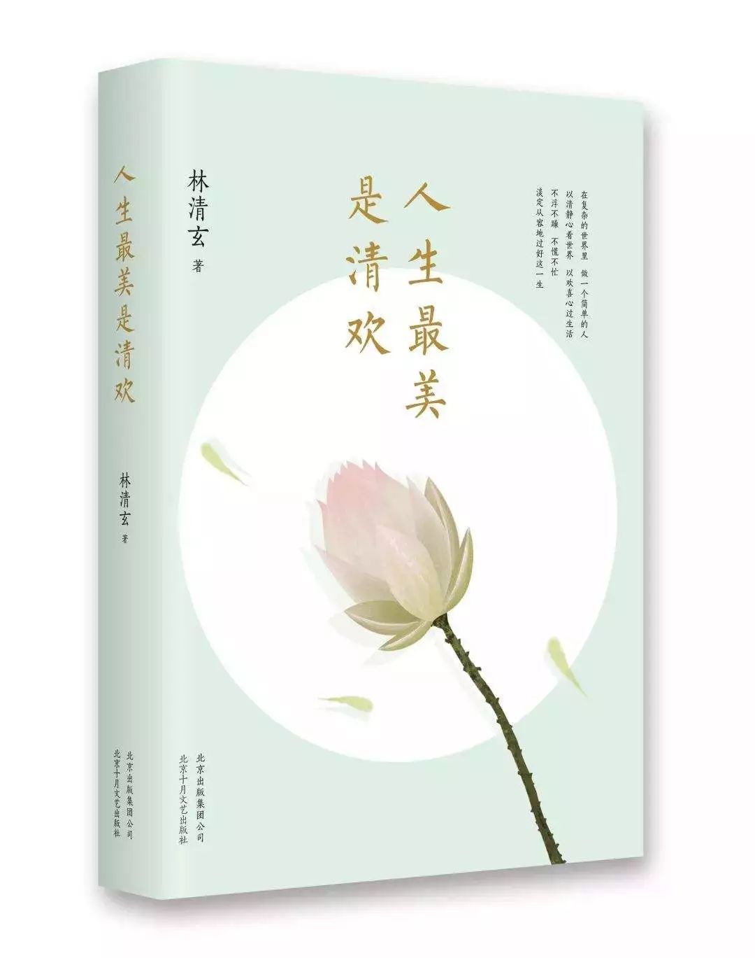 人间什么是清欢 75e218a6ef2f4e70860f75a90245a069.jpeg