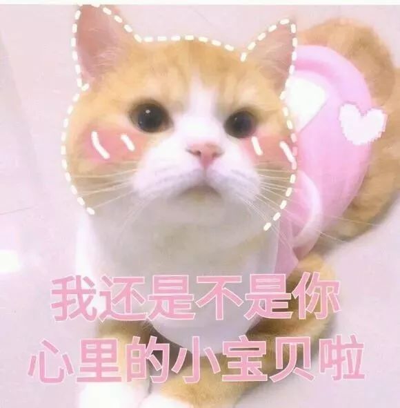 76dd87401eb1461da7ea315569f3f75d.jpeg