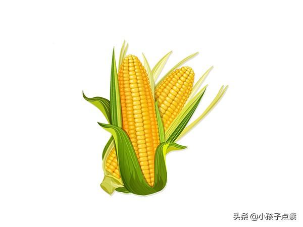北京社五年级英语下册单词列表例句汇总