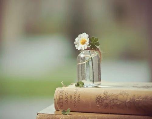 2020届高考志愿填报“一对一”个性化指导开始接受报名!(最新发布)