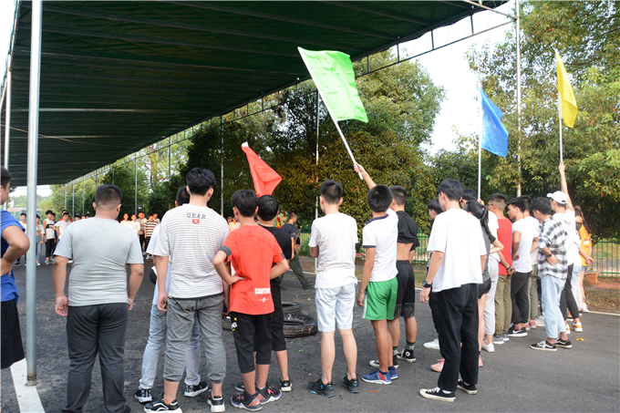 进行了|卓京教育团建丨同心同力 携手并进