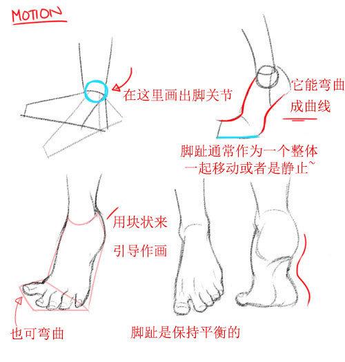 动漫人物脚怎么画脚的绘制方法