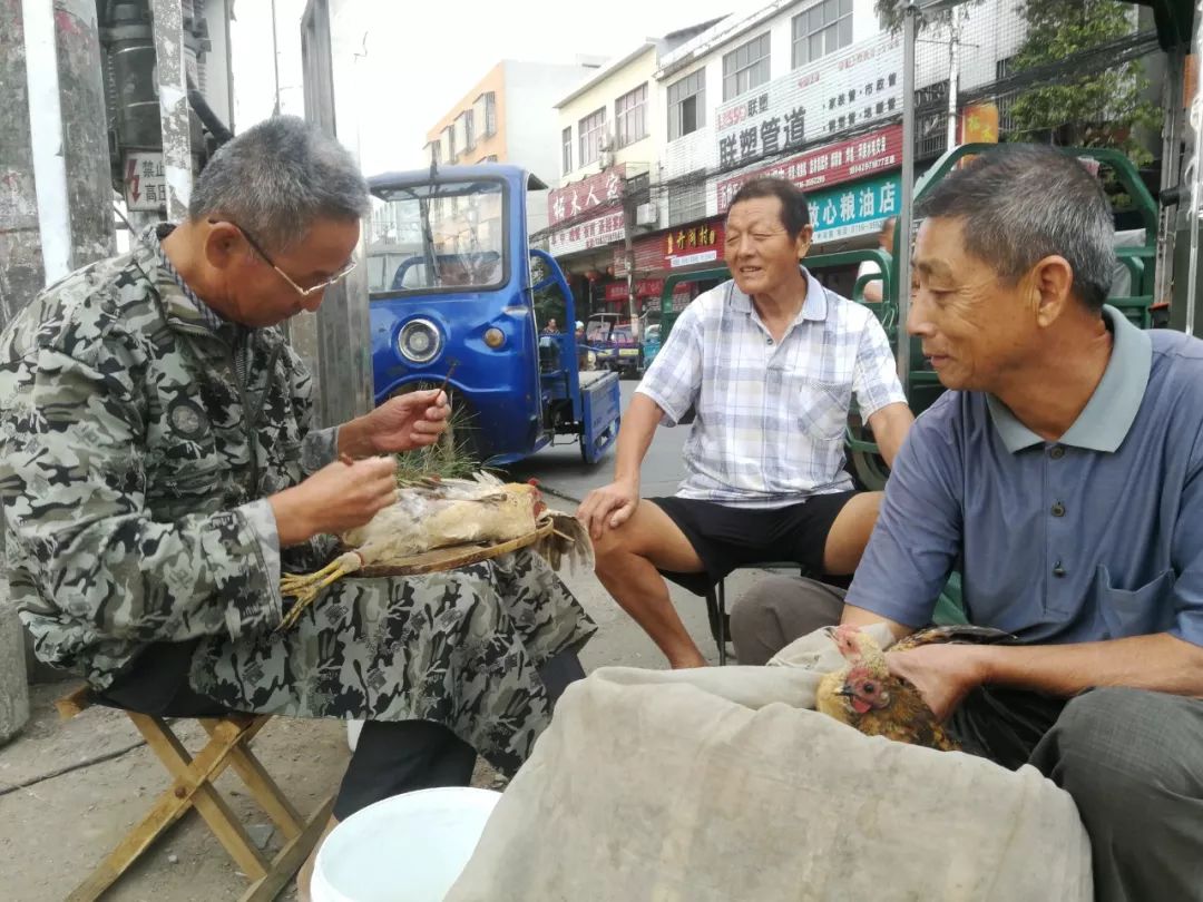 监利县柘木乡万和村人口普查查_监利县柘木高中名师