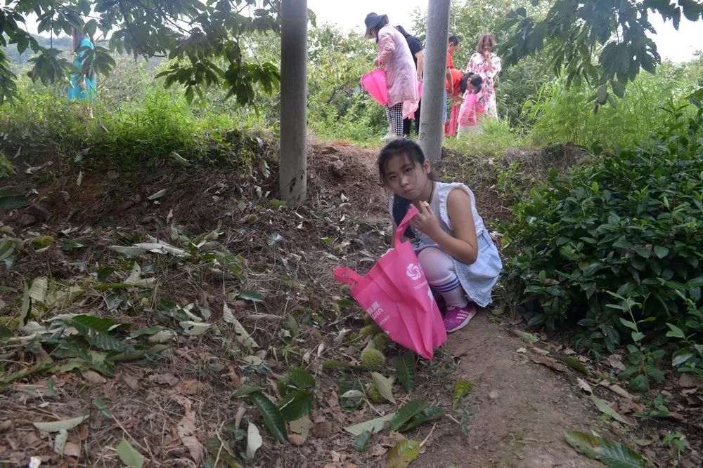 树上一个树下一个该子旁边女人猜成语(3)
