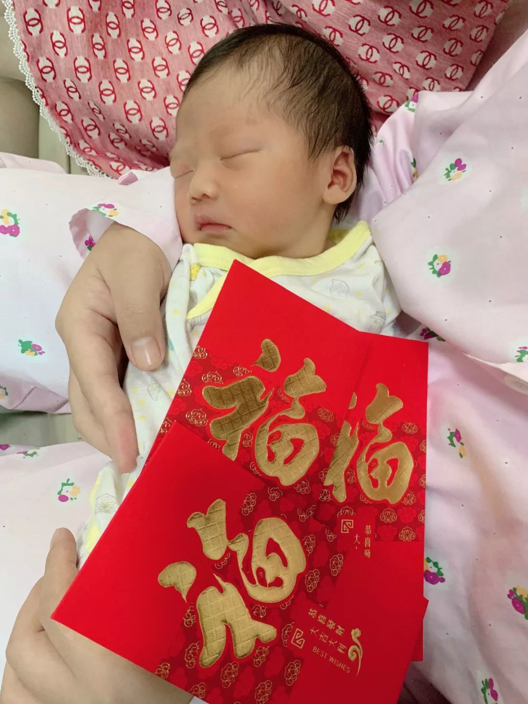 恭贺李道红总裁喜得贵子,盛世又添一位小王子!
