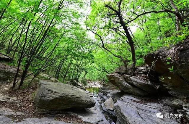 明光小伙伴 江淮分水岭国家风景道来怂