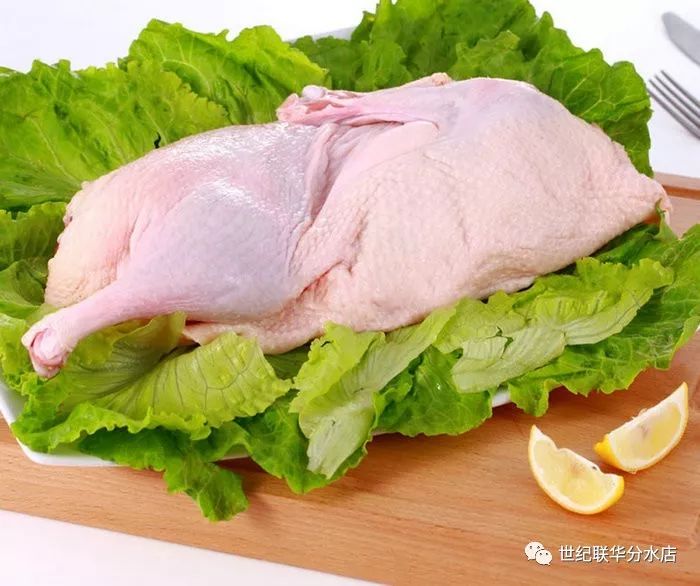 一个鸡腿有多少千焦热量 9991e4d6e44a4e0c882fda308250db32.jpeg