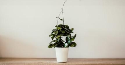 2020届高考志愿填报“一对一”个性化指导开始接受报名!(最新发布)