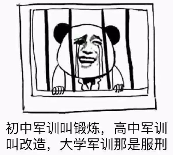 9eda98cc5eb448f0ab530669c207f856.jpeg