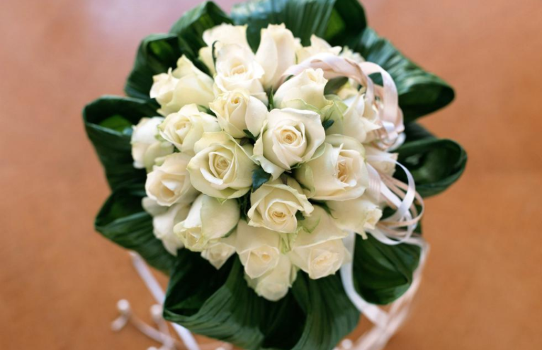 双生花是指哪两种花 9ff4268279e04c0b8d40333d67f9ef33.png