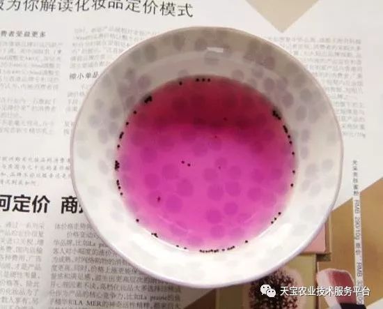 高锰酸钾有妙用