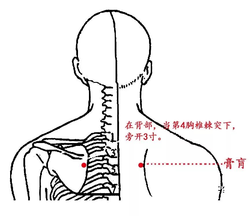 成语入什么赘_成语故事简笔画(3)