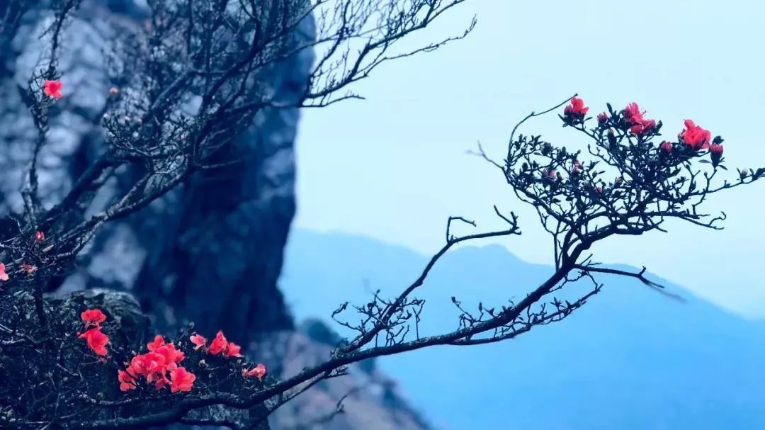 走过高山丛林,直到山穷水尽