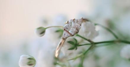 2020届高考志愿填报“一对一”个性化指导开始接受报名!(最新发布)