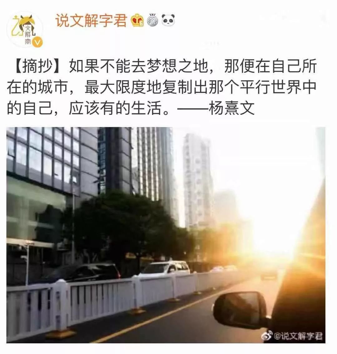 今日摘抄杨熹文经典语录