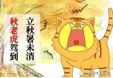                     6招 | 教你轻松赶跑孩子身边的“秋老虎”！